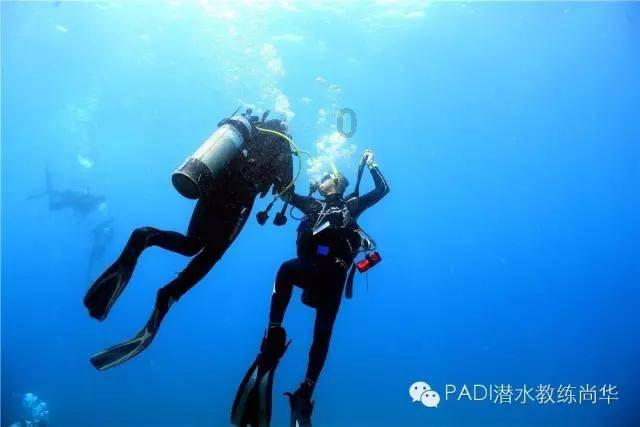 虫虫助手下载